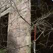 Standing Building Survey photograph, Building 5, E corner, Facing W, South-West of Slade Farm, Carmyllie, Angus