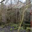Standing Building Survey photograph, Building 5, NE wall overgrown with loose rubble and fallen trees, Facing WSW, South-West of Slade Farm, Carmyllie, Angus