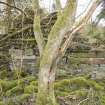 Standing Building Survey photograph, Feature F26, Facing NW, South-West of Slade Farm, Carmyllie, Angus
