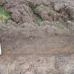 Evaluation photograph, East facing section taken from E (Trench 14), Knockroom Farm, Cumnock, East Ayrshire