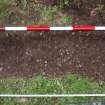 Excavation photograph, General shot of pebble context (006) taken from E, Carzield Roman Fort, Kirkton, Dumfries