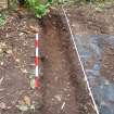 Excavation photograph, General shot of (009) and subsoil taken from E, Carzield Roman Fort, Kirkton, Dumfries