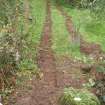 Excavation photograph, Shot of trench de-sodded beyond Carzield Farm fenceline taken from ENE, Carzield Roman Fort, Kirkton, Dumfries