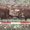 Excavation photograph, Possible wall taken from above, Carzield Roman Fort, Kirkton, Dumfries