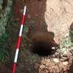 Watching Brief photograph, Plan shot (excavated) of Pole 4, Carzield Roman Fort, Kirkton, Dumfries