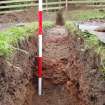 Excavation photograph, Detail of stake-hole, Carzield Roman Fort, Kirkton, Dumfries