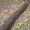 Excavation photograph, General shot of 19/20th C coach track taken from WNW, Carzield Roman Fort, Kirkton, Dumfries