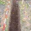 Excavation photograph, Garden bank-ditch? taken from ENE, Carzield Roman Fort, Kirkton, Dumfries