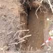 Excavation photograph, NW end of Trench 2 -Job 3261- Pole Dig taken from SE, Wellington Bridge, Carzield Roman Fort, Kirkton, Dumfries