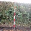 Excavation photograph, Top of bank beyond hedge and 1m above current road surface taken from SW, Wellington Bridge, Carzield Roman Fort, Kirkton, Dumfries