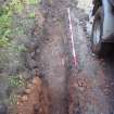 Excavation photograph, Surface (020)- orientated NE-SW? taken from SE, Wellington Bridge, Carzield Roman Fort, Kirkton, Dumfries