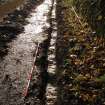 Excavation photograph, Surface (021)  taken from NW, Wellington Bridge, Carzield Roman Fort, Kirkton, Dumfries