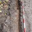 Excavation photograph, Surface (021), photos taken at intervals along its length taken from SE, Wellington Bridge, Carzield Roman Fort, Kirkton, Dumfries