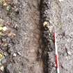 Excavation photograph, Surface (021), photos taken at intervals along its length taken from SE, Wellington Bridge, Carzield Roman Fort, Kirkton, Dumfries