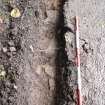 Excavation photograph, Surface (021), photos taken at intervals along its length taken from SE, Wellington Bridge, Carzield Roman Fort, Kirkton, Dumfries