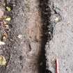 Excavation photograph, Surface (021), photos taken at intervals along its length taken from SE, Wellington Bridge, Carzield Roman Fort, Kirkton, Dumfries