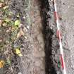 Excavation photograph, Surface (021), photos taken at intervals along its length taken from SE, Wellington Bridge, Carzield Roman Fort, Kirkton, Dumfries