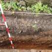 Excavation photograph, SW facing section of [022] taken from NE, Wellington Bridge, Carzield Roman Fort, Kirkton, Dumfries