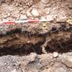 Excavation photograph, Surface (034) in SW facing section taken from SW, Wellington Bridge, Carzield Roman Fort, Kirkton, Dumfries