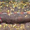 Excavation photograph, Ditch [027] NE facing section taken from NE, Wellington Bridge, Carzield Roman Fort, Kirkton, Dumfries