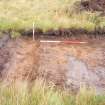 Evaluation photograph, S facing section taken from S, Soutra Quarry Extension, Humbie, Borders