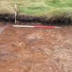 Evaluation photograph, N facing section taken from N, Soutra Quarry Extension, Humbie, Borders