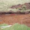 Evaluation photograph, S facing section of trench taken from S, Soutra Quarry Extension, Humbie, Borders