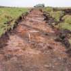 Evaluation photograph, Plough marks SE-NW taken from E, Soutra Quarry Extension, Humbie, Borders