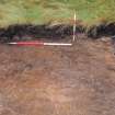 Evaluation photograph, N facing section taken from N, Soutra Quarry Extension, Humbie, Borders