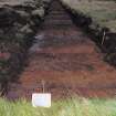 Evaluation photograph, Post-excavation Trench 52 taken from W, Soutra Quarry Extension, Humbie, Borders