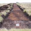 Evaluation photograph, Post-excavation Trench 53 taken from W, Soutra Quarry Extension, Humbie, Borders