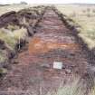 Evaluation photograph, Post-excavation Trench 54 taken from W, Soutra Quarry Extension, Humbie, Borders