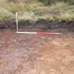 Evaluation photograph, N facing section taken from N, Soutra Quarry Extension, Humbie, Borders