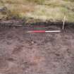 Evaluation photograph, N facing section of trench taken from N, Soutra Quarry Extension, Humbie, Borders