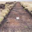 Evaluation photograph, Post-excavation Trench 56 taken from W, Soutra Quarry Extension, Humbie, Borders