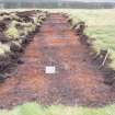 Evaluation photograph, Post-excavation Trench 59 with plough marks taken from W, Soutra Quarry Extension, Humbie, Borders