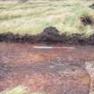 Evaluation photograph, S facing section taken from S, Soutra Quarry Extension, Humbie, Borders