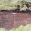 Evaluation photograph, S facing section taken from S, Soutra Quarry Extension, Humbie, Borders