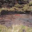 Evaluation photograph, S facing section taken from S, Soutra Quarry Extension, Humbie, Borders