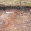 Evaluation photograph, N facing section taken from N, Soutra Quarry Extension, Humbie, Borders