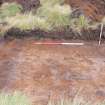 Evaluation photograph, S facing section taken from S, Soutra Quarry Extension, Humbie, Borders