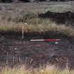 Evaluation photograph, S facing section taken from S, Soutra Quarry Extension, Humbie, Borders