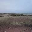 Evaluation photograph, General landscape from S bund taken from S, Soutra Quarry Extension, Humbie, Borders