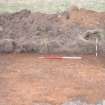 Evaluation photograph, S facing section of trench taken from SE, Soutra Quarry Extension, Humbie, Borders