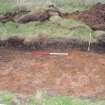 Evaluation photograph, S facing section of trench taken from S, Soutra Quarry Extension, Humbie, Borders