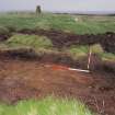 Evaluation photograph, S facing section of trench taken from S, Soutra Quarry Extension, Humbie, Borders