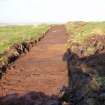 Evaluation photograph, Post-excavation Trench 12 taken from SE, Soutra Quarry Extension, Humbie, Borders