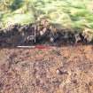 Evaluation photograph, N facing section of trench possible field boundary/clearance taken from N, Soutra Quarry Extension, Humbie, Borders