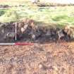 Evaluation photograph, Detail of N facing section taken from N, Soutra Quarry Extension, Humbie, Borders