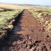 Evaluation photograph, Post-excavation Trench 15 taken from E, Soutra Quarry Extension, Humbie, Borders